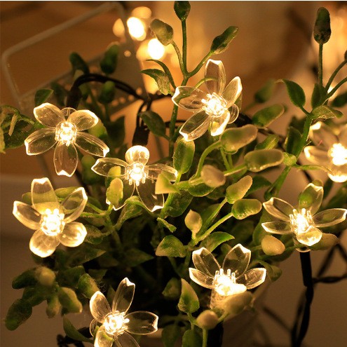 outdoor string light